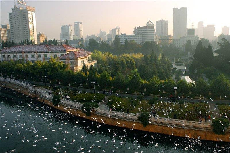母親河盤龍江 http://m.jinzhengkj.com.cn/