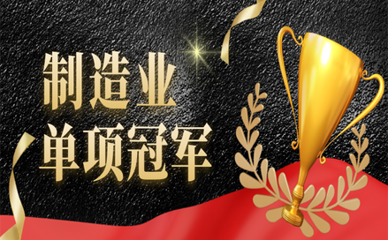 制造業(yè)單項(xiàng)冠軍示范企業(yè)